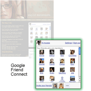 google ani Google Friend Connect