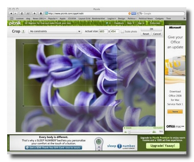 picnik 10 Alternative a Photoshop in stile Web 2.0