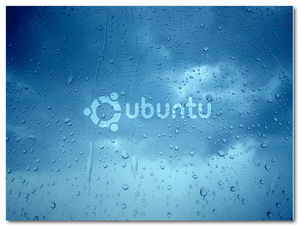 ubuntu Una guida per ottimizzare Ubuntu